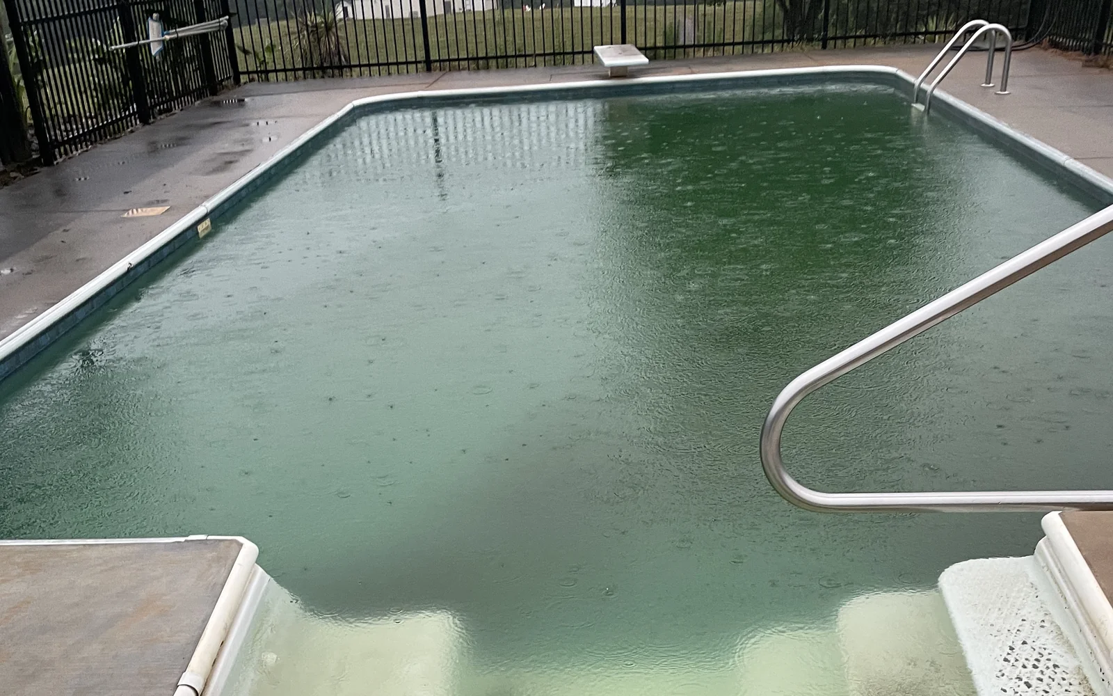 Green, algae-filled pool before Besck cleaning service