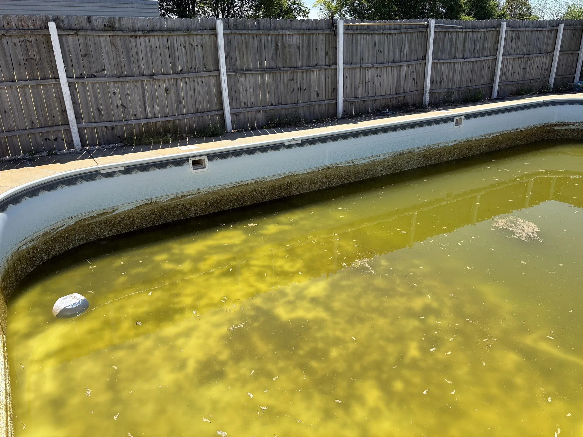 Cloudy, unsafe water — a full reset is the only path forward, not another round of shock.