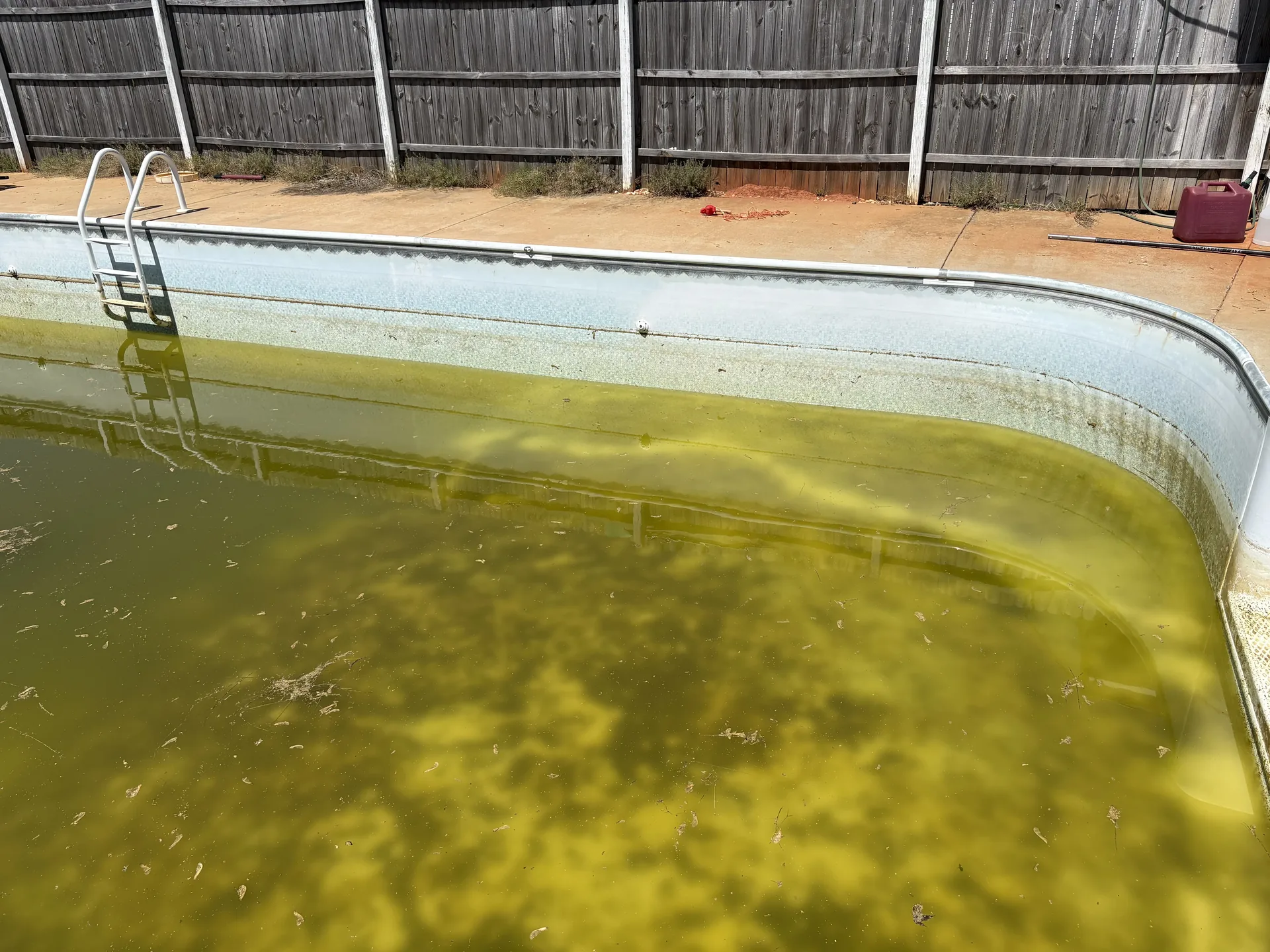 Up close, the algae bloom and chemistry imbalance reveal just how far gone the water really is.