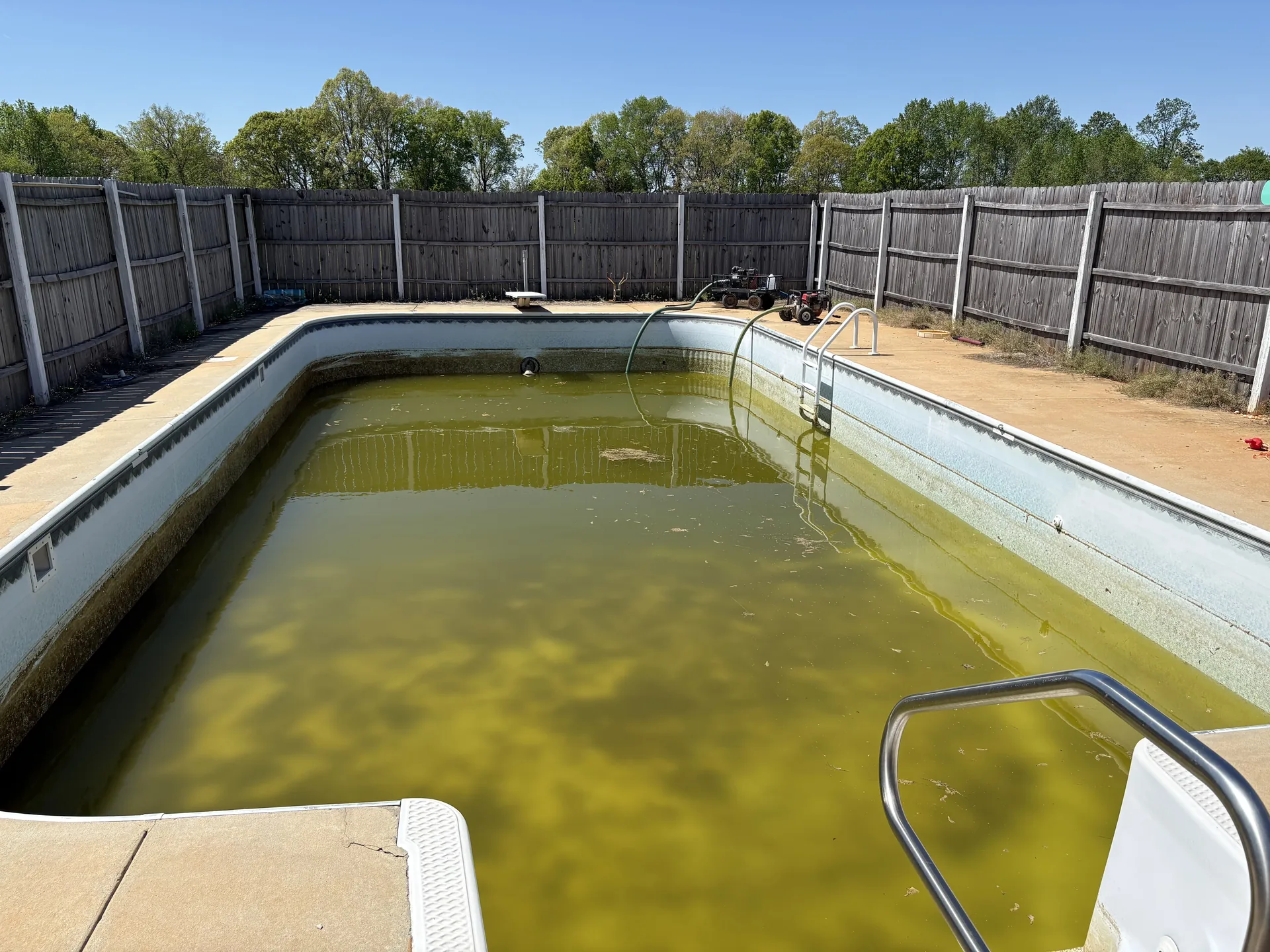 A pool left alone for the off-season — green water, floating debris, no telling what's at the bottom.